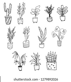 Set of different plants. Hand drawn leaves, cactus, on pot vector illustration.