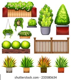 Set of different plants on a white background 