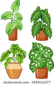 Set of different plants in pot with soil illustration