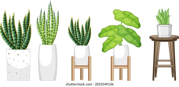 Satz verschiedener Pflanzen in Töpfen zur Illustration von Inneneinrichtungen