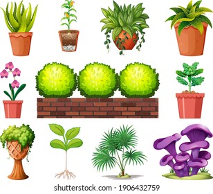 Set of different plants in pots isolated on white background illustration