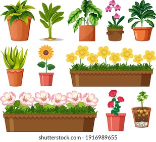 Set of different plants in pots isolated on white background illustration