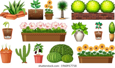 Set of different plants in pots isolated on white background illustration