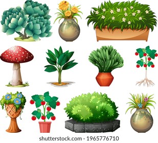 Conjunto de diferentes plantas en macetas aisladas en ilustración de fondo blanco