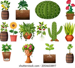 Set of different plants in pots isolated on white background illustration