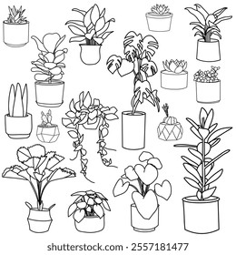 set of different plants in pots outline