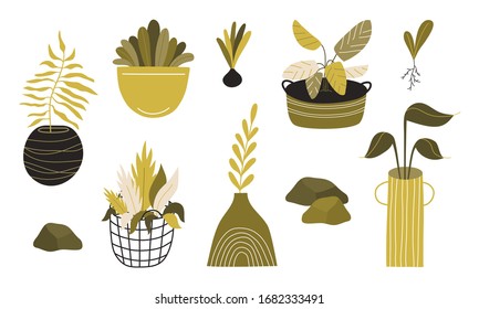 A set of different plants in pots, vases and a basket. Vector illustration of cute indoor and garden plants isolated on a white background.