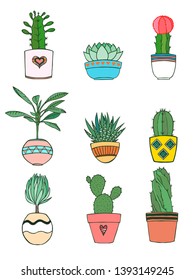 Set of different plants, succulents and cactus. Hand drawn vector illustration