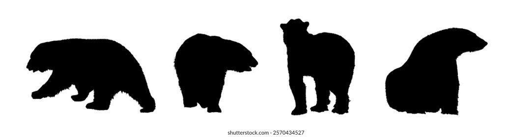 Set of different polar bear silhouettes - vector illustration
