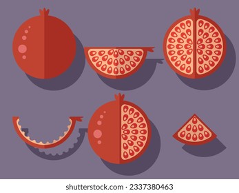 Set of different pomegranates. Vector illustration.