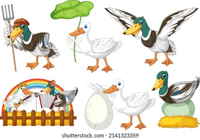 Set of different poses of ducks cartoon characters illustration