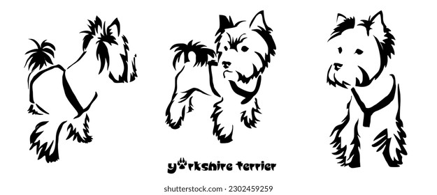A set of different poses of the stylized Yorkshire terrier. Vector drawing of a small dog. Gestalt animal design