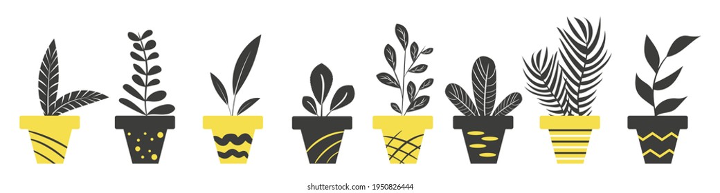 A set of different pots with home plants black and yellow