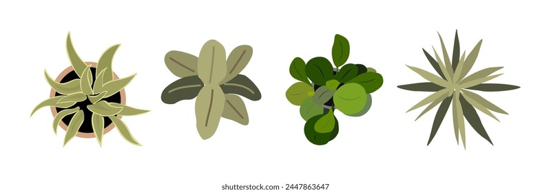 Conjunto de diferentes plantas de casa en macetas vista superior. 