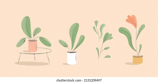 Set of different potted plants used for design elements. Hand drawn illustrations of house greenery decor, isolated on light orange background.