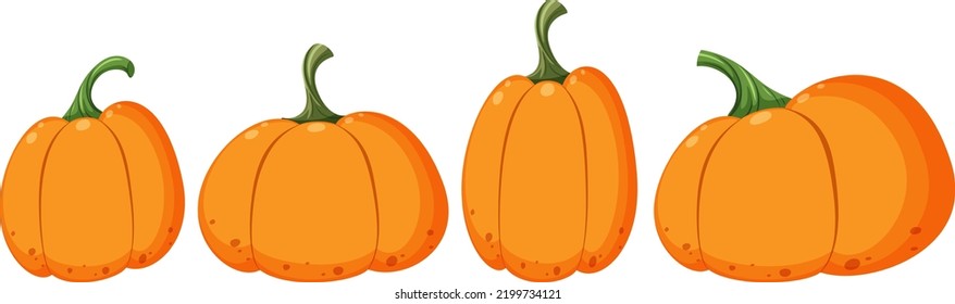 Set of different pumpkin shapes illustration