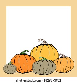 Set of different pumpkins. Autumn harvest. Illustration for Halloween.