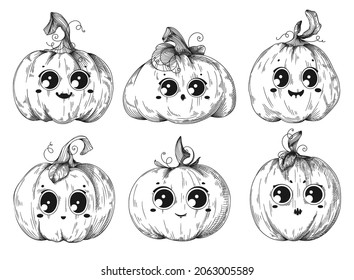 Set of different pumpkins for halloween. Halloween pumpkin. Vector illustration in sketch style.