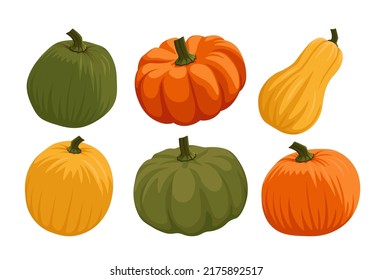 Set of different pumpkins and squash cartoon vector set illustration. Orange, yellow, green. Butternut. Thanksgiving, Halloween, harvest