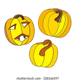 Set of different pumpkins,harvest illustration isolated on white background