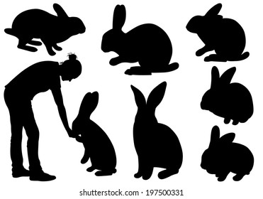 Set of different rabbits isolated on white