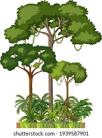 Set of different rainforest trees on white background illustration