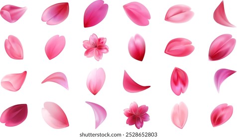 Set of different realistic flowers of sakura flower petals. Stock vector illustration isolated on white background.