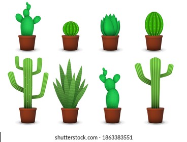 Set of different realistic succulents and cactus plants in pottery.