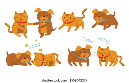 Set With Different Relationship Between Dogs And Cats Vector Illustration Cartoon Character