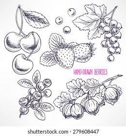 set with different ripe berries and leaves. hand-drawn illustration