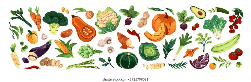 Conjunto de diferentes verduras maduras y crudas. Comida orgánica de granja: tomates, repollos. Cultivos agrícolas. Cosecha natural. Alimentación saludable. Ilustraciones vectoriales dibujadas a mano aisladas planas sobre fondo blanco