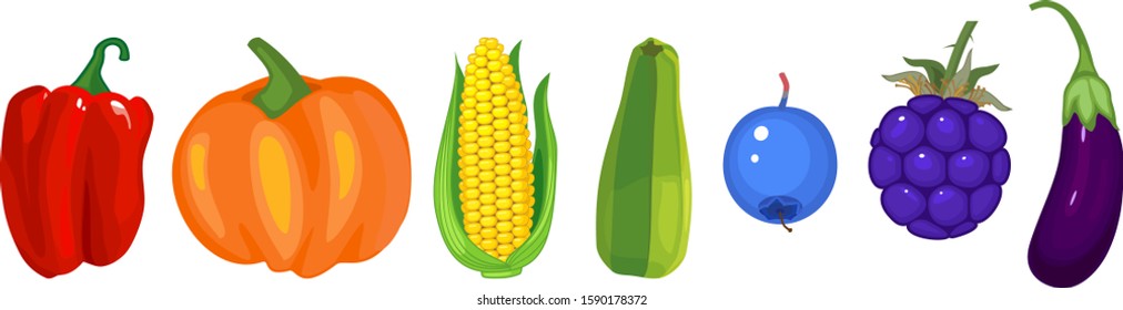 Set of different ripe vegetables in all colors of rainbow