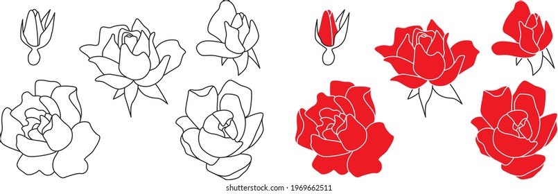 Reihe verschiedener Rosen. Handgezeichnete Outline-Vektorgrafiken. Minimalistisches Blumendesign. Umriss und farbig.