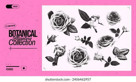 Conjunto de diferentes rosas. Flores de época con efecto fotocopia granulado para antidiseño. Grunge los elementos punteados con efecto de endurecimiento. Ilustración vectorial.