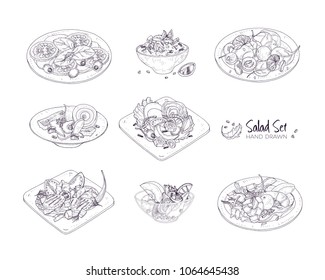 Set different salads served plates   in bowls hand drawn and contour lines white background    Tabbouleh  Nicoise  Caesar  Waldorf  fruit  Monochrome realistic vector illustration 