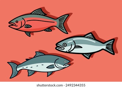 Set of different salmon illustration isolated on red background. Delicious fish market products. 