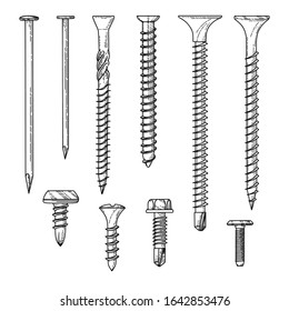 Set of different screws, nails isolated on a white background. Vector illustration