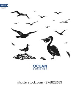 set of different sea birds: seagull, pelican, albatross, birds silhouettes isolated on white, black and white design