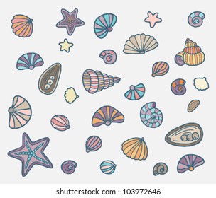 Set of different sea shells