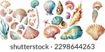 Set of different sea shells, corals and starfishes. Watercolor vector illustration