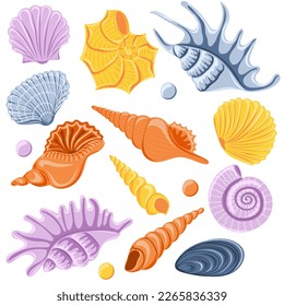 Set of different sea shells. Marine dwellers. Concept of sea and ocean life. Vector illustration