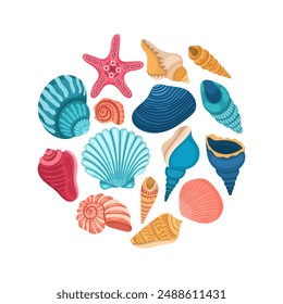 Set of different sea shells on a white background. Summer collection, illustration