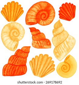 Set of different sea shells. Watercolor vector illustration. Global color used.