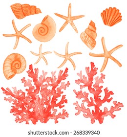 Set of different sea shells,corals and starfish. Watercolor vector illustration. Global color used.