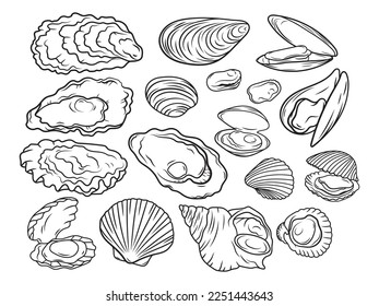 Set of different seashells. Сollection of decorative shellfish. Beach. Summer shell. Tattoo. Vector illustration of design for print. Drawing for children.