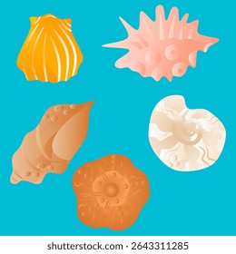 Set of different seashells on blue background. Vector illustration.