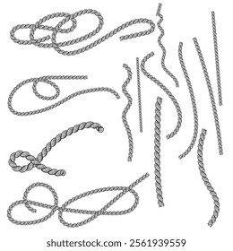 Set of different shape rope frame brush, border graphic, ornament, loop, strong, round, curve, textile, ornate vector

