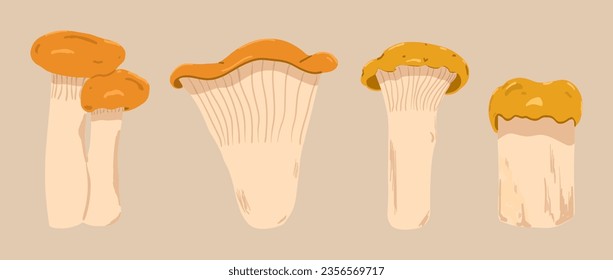 A set of different shapes of chanterelles. Background with edible mushrooms. Vector illustration in hand drawn style.