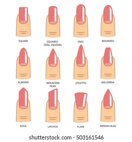 Set of different shapes of nails on white. Nail shape icons. Manicure polish. Vector illustration 