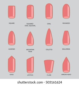 Set of different shapes of nails on gray. Nail shape icons. Manicure polish. Vector illustration 